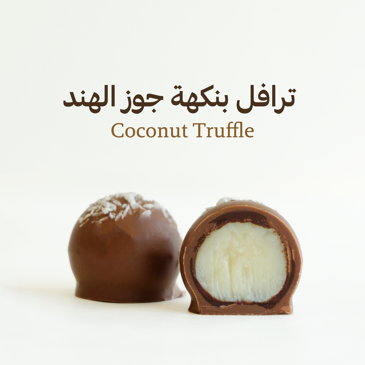 صندوق ترافل مشكل (كبير)