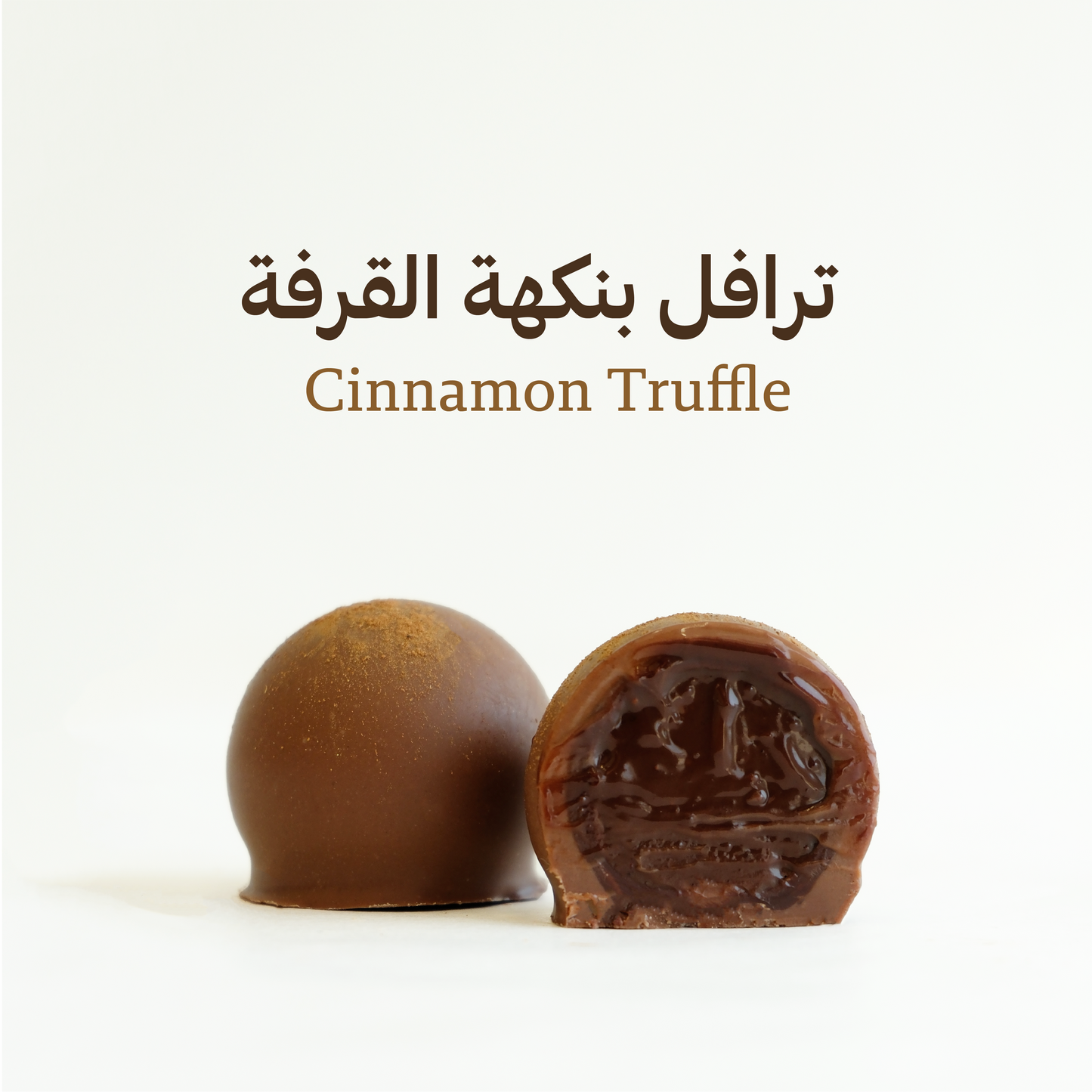 صندوق ترافل مشكل (كبير)