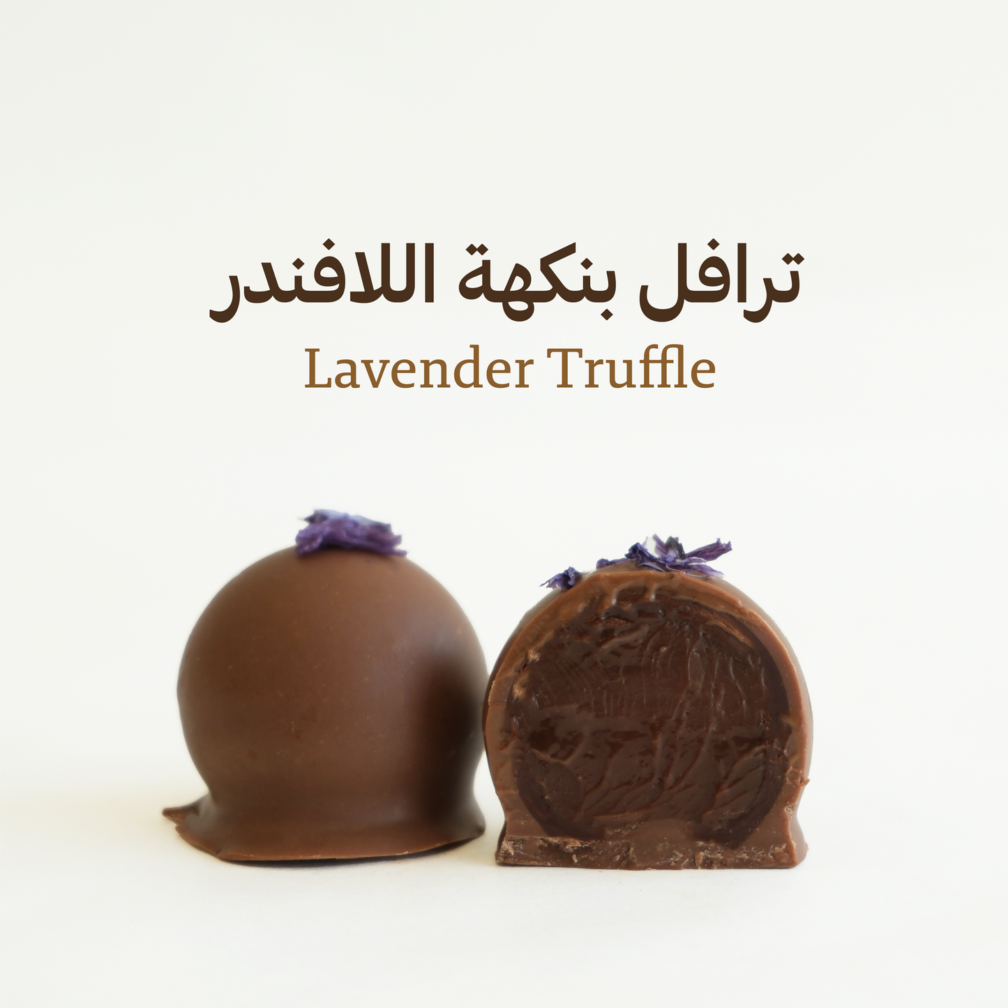 صندوق ترافل مشكل (كبير)