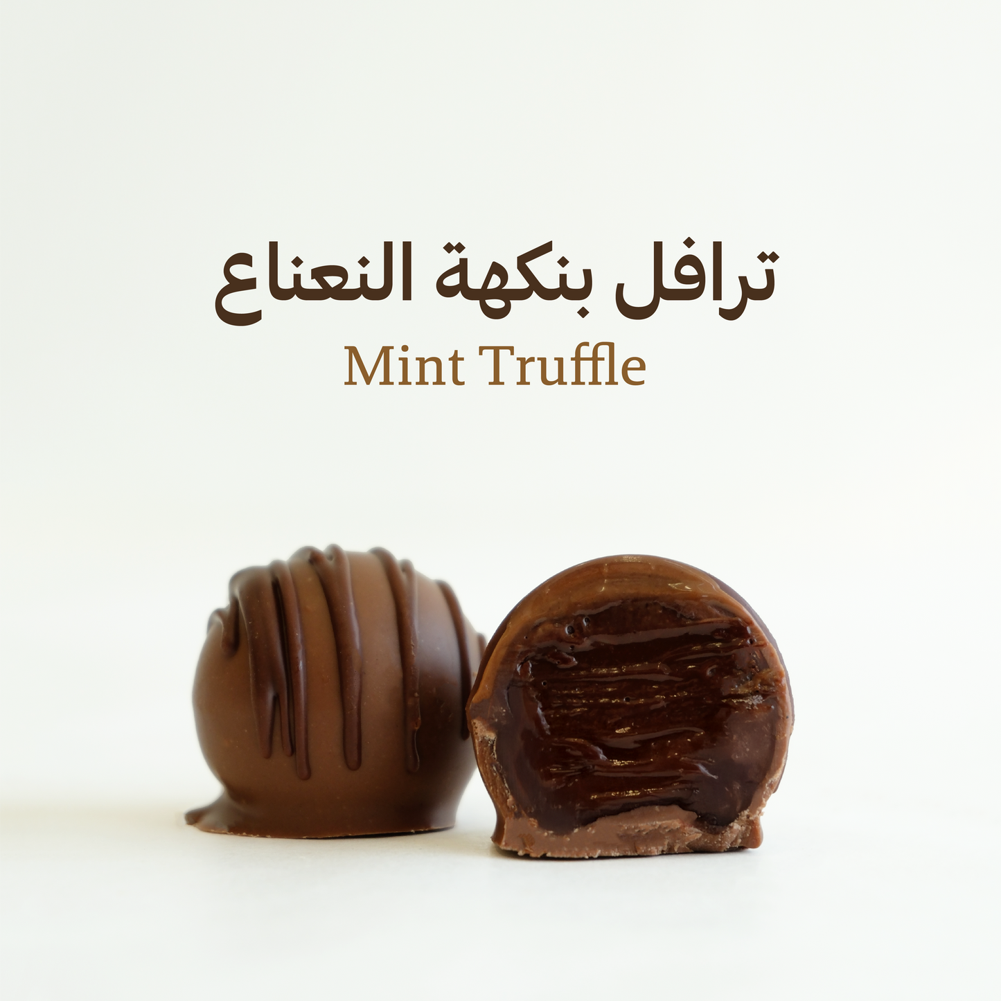 صندوق ترافل مشكل (كبير)