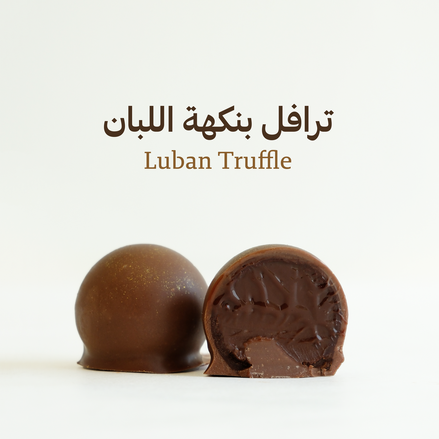 صندوق ترافل مشكل (كبير)