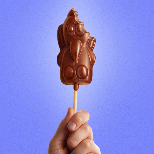 Chocolate Lollipop Stick - Single Piece